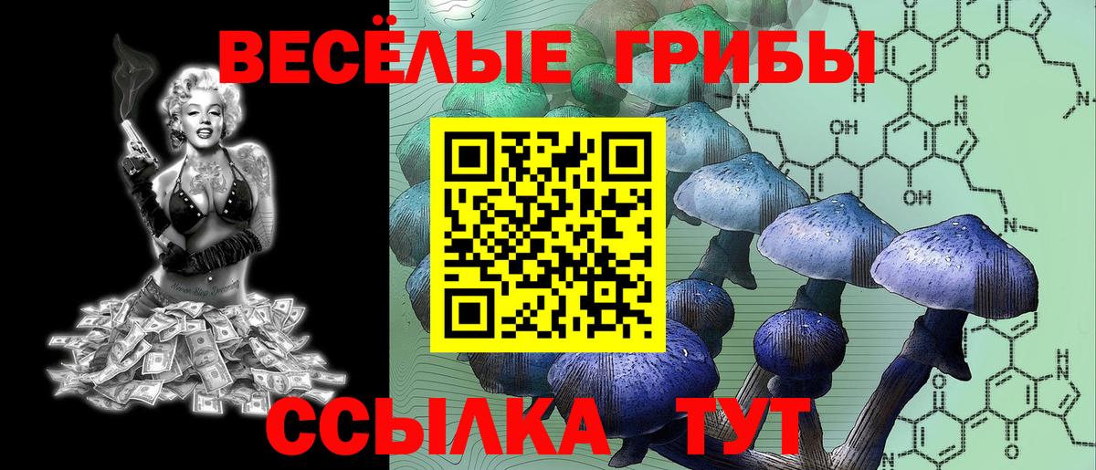 Псилоцибиновые грибы ЛСД Балашов